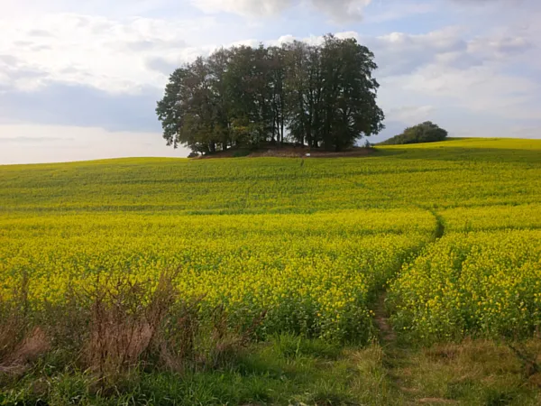 Entdecke Schwerin und Umgebung